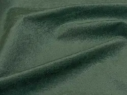 Puma (forest)